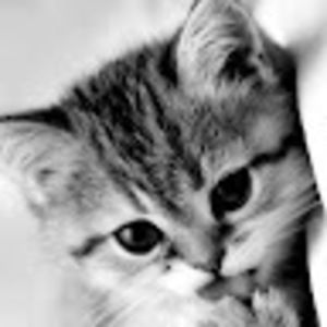 Meet your Posher, Liz